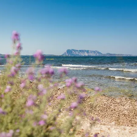 Th - Liscia Eldi Village Village de vacances